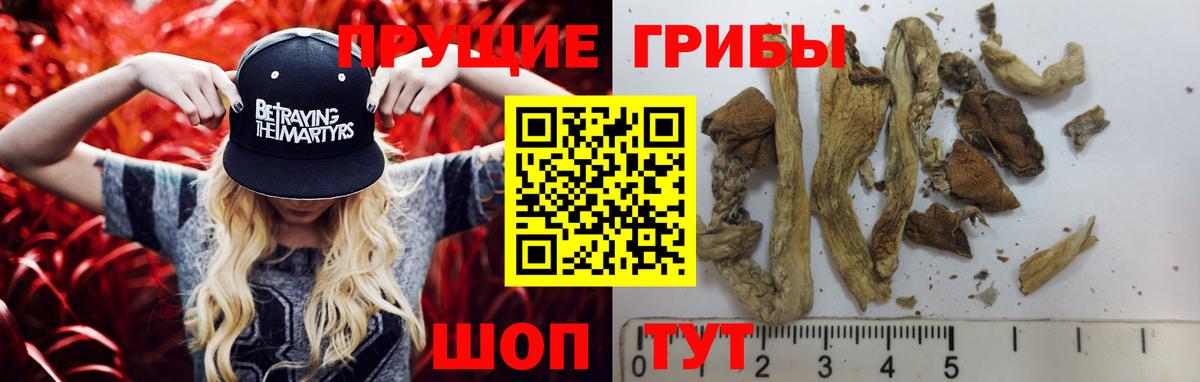 Псилоцибиновые грибы ЛСД  Галлюциногенные грибы Magic Shrooms  Алексин  Вход с VPN 